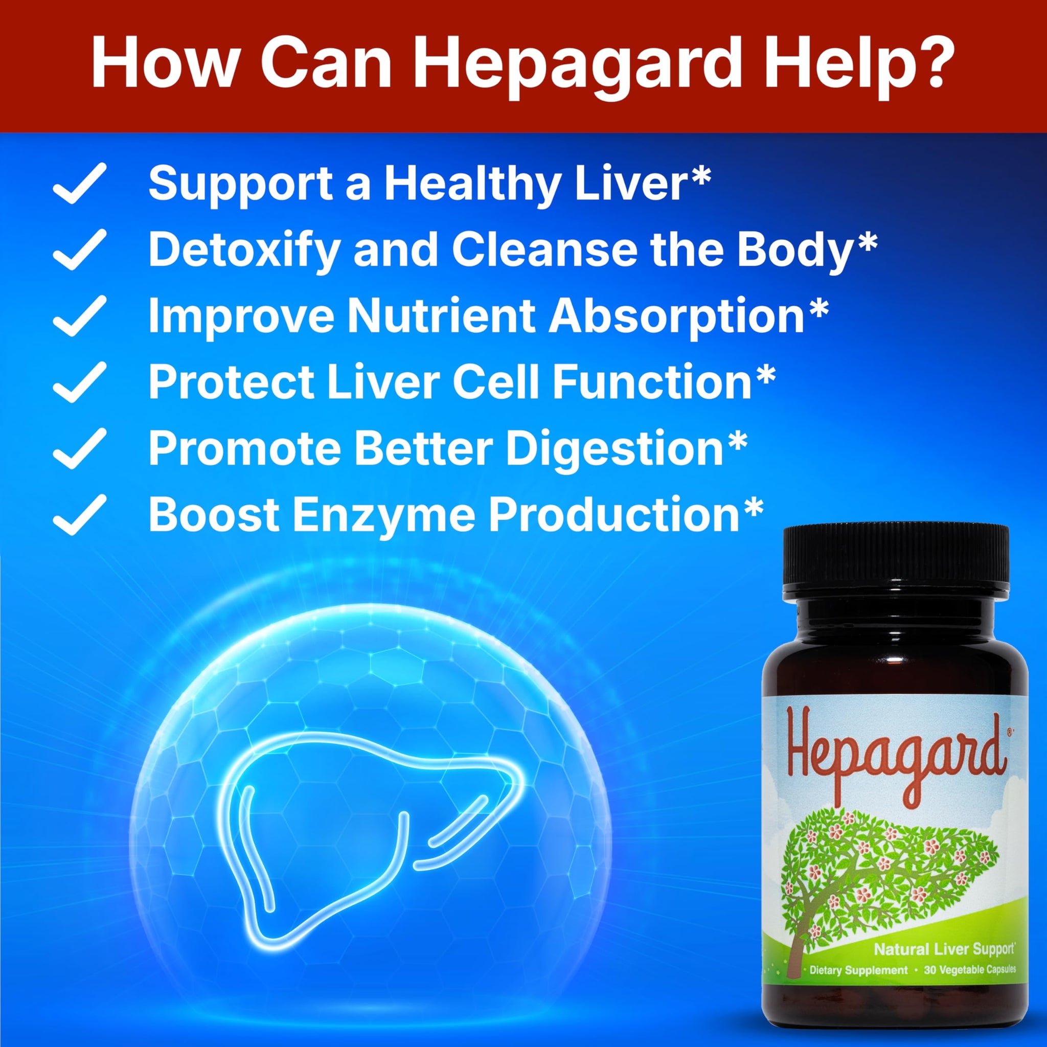 Hepagard - Natural Liver Support Supplement with N-Acetyl Cysteine (NAC) - Non-GMO, Vegan, Gluten-Free