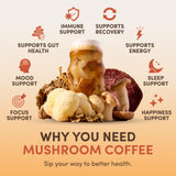 RYZE SUPERFOODS Mushroom Coffee USDA Organic with 6 Adaptogenic Mushrooms and MCT Oil, USA Grown Instant Coffee for Better Energy, Focus, Digestion, Immunity with Lions Mane & Turkey Tail, 30 servings