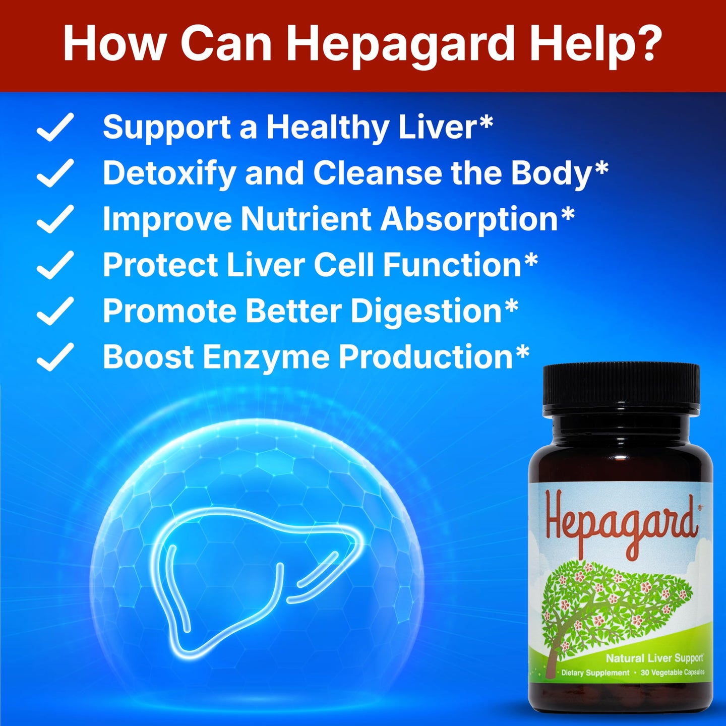 Hepagard - Natural Liver Support Supplement with N-Acetyl Cysteine (NAC) - Non-GMO, Vegan, Gluten-Free