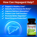 Hepagard - Natural Liver Support Supplement with N-Acetyl Cysteine (NAC) - Non-GMO, Vegan, Gluten-Free